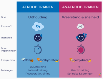 Aeroob & anaeroob trainen